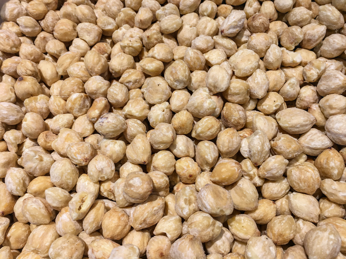 Candlenut (Aleurites moluccanus)