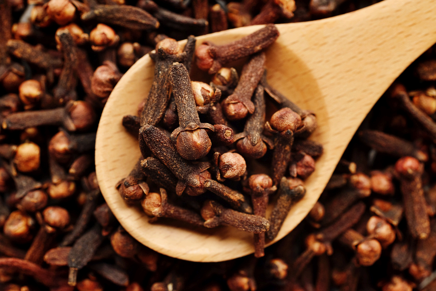 Cloves (Syzygium aromaticum)